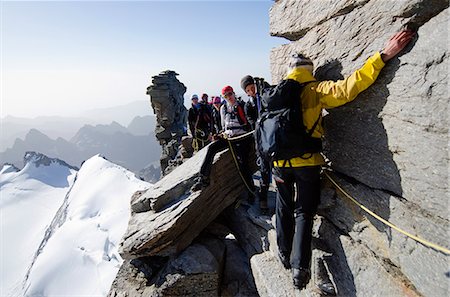 snow climbing - Europe, Italy, Aosta Valley, Gran Paradiso National Park, Gran Paradiso , 4061m, highest peak entirely in Italy Foto de stock - Con derechos protegidos, Código: 862-06541972