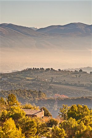 Italy, Umbria, Perugia district. Autumnal Vineyards near Montefalco Foto de stock - Con derechos protegidos, Código: 862-06542002