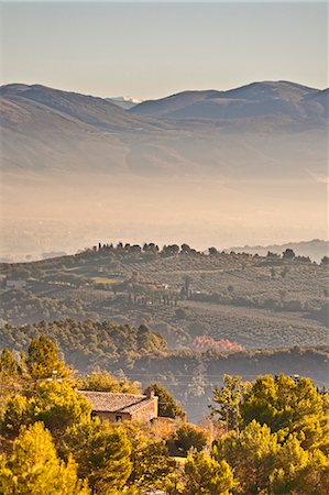 sun farm - Italy, Umbria, Perugia district. Autumnal Vineyards near Montefalco Stock Photo - Rights-Managed, Code: 862-06542002