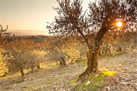 Italy, Umbria, Perugia district, Giano dellUmbria, Abbey of San Felice Photographie de stock - Rights-Managed, Code: 862-06542043