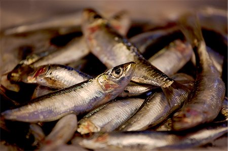 simsearch:862-05997928,k - Venice, Veneto, Italy, Fish for sale at the famous fish market Stock Photo - Rights-Managed, Code: 862-06542097