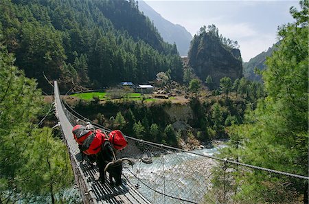 Asia, Nepal, Himalayas, Sagarmatha National Park, Solu Khumbu Everest Region, yak crossing the Dudh Koshi river Foto de stock - Con derechos protegidos, Código: 862-06542398