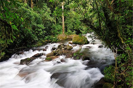simsearch:862-06542651,k - Caldera Creek in Boquete, Panama, Central America Foto de stock - Con derechos protegidos, Código: 862-06542641