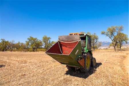 Harvest season in Briones, La Rioja, Spain Fotografie stock - Rights-Managed, Codice: 862-06542873