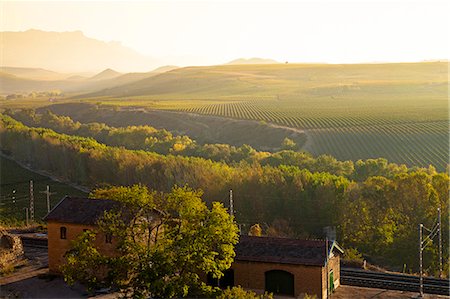 Vineyards in La Rioja , Alava, Rioja and Basque Country, Spain, Europe. Photographie de stock - Rights-Managed, Code: 862-06542886