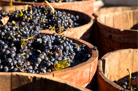 Bodega Lopez de Heria wine cellar in the village of Haro, La Rioja, Spain, Europe Stock Photo - Rights-Managed, Code: 862-06542893