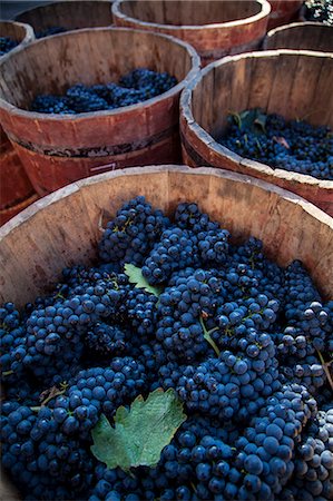 simsearch:862-06542935,k - Bodega Lopez de Heria wine cellar in the village of Haro, La Rioja, Spain, Europe Fotografie stock - Rights-Managed, Codice: 862-06542900