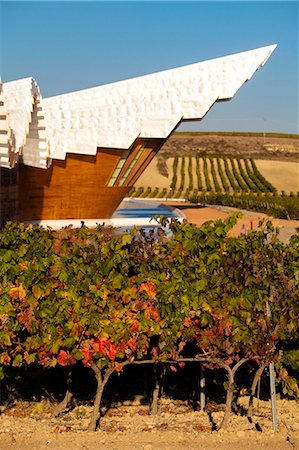 simsearch:862-08273799,k - Bodegas Ysios wine cellar, built by Santiago Calatrava, Laguardia, Alava, Spain, Europe Photographie de stock - Rights-Managed, Code: 862-06542929