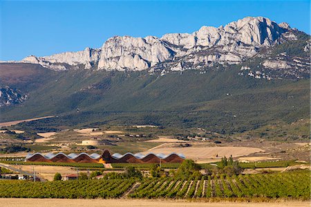 Bodegas Ysios wine cellar, built by Santiago Calatrava, Laguardia, Alava, Spain, Europe Stock Photo - Rights-Managed, Code: 862-06542921