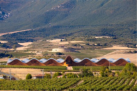simsearch:862-06542926,k - Bodegas Ysios wine cellar, built by Santiago Calatrava, Laguardia, Alava, Spain, Europe Stock Photo - Rights-Managed, Code: 862-06542922