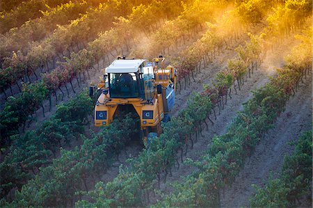 Harvest in Laguardia, La Rioja, Spain, Europe Foto de stock - Con derechos protegidos, Código: 862-06542935