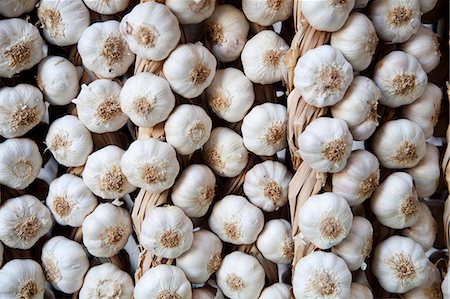 Garlics in Logrono, La Rioja, Spain Stock Photo - Rights-Managed, Code: 862-06542948