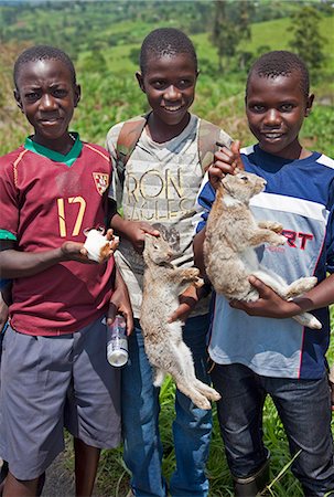 Young boys take rabbits and a guinea pig to sell at a roadside market on the road between Fort Portal and Kasese, Uganda, Africa Foto de stock - Con derechos protegidos, Código: 862-06543209