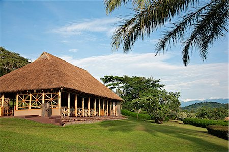 The dining room and bar of Chimpanzee Forest Guesthouse, with distant views of the Rwenzori Mountains, Uganda, Africa Stock Photo - Rights-Managed, Code: 862-06543202