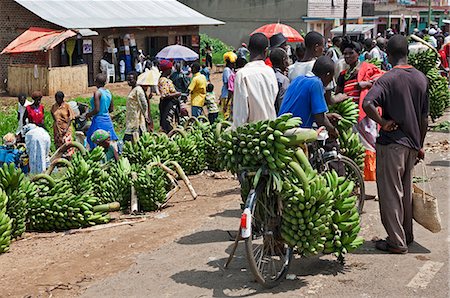 food market africa - A roadside market with large quantities of green bananas, matoke, for sale, Uganda, Africa Stock Photo - Rights-Managed, Code: 862-06543210