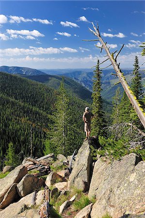 Man enoying view in the Frank Church Wilderness, Nez Perce Trail,Idaho, USA Foto de stock - Con derechos protegidos, Código: 862-06543374