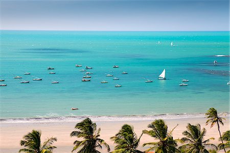 sailing beach - South America, Brazil, Ceara, Ponta Grossa, view of jangadas moored on an aquamarine coral sea in front of a palm tree fringed white sand beach Stock Photo - Rights-Managed, Code: 862-06675738