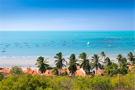 South America, Brazil, Ceara, Ponta Grossa, view of jangadas moored on an aquamarine coral sea in front of a palm tree fringed white sand beach Foto de stock - Con derechos protegidos, Código: 862-06675739