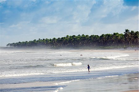 simsearch:862-06675787,k - South America, Brazil, Alagoas, Praia do Frances, general view of Frenchmans Beach, Praia do Frances, near Marechal Deodoro Stock Photo - Rights-Managed, Code: 862-06675791