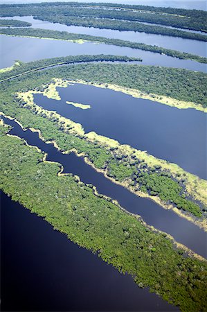 South America, Brazil, Amazon, Aerial view of the UNESCO listed Anavilhanas ecological station and the Anavilhanas archipelago and Amazon forest on the Rio Negro Photographie de stock - Rights-Managed, Code: 862-06675835
