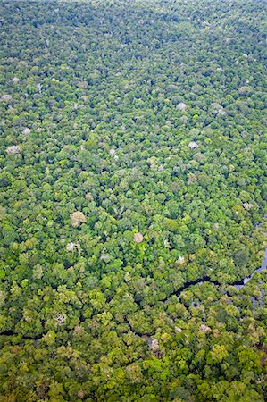 Brazil, Amazon, Aerial view of Amazon forest and a black water creek, Igarape, Foto de stock - Direito Controlado, Número: 862-06675836