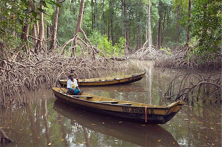 south america jungle pictures - South America, Brazil, Para, Amazon, Marajo island, local fishermen with wooden canoes in red mangrove forest near Soure Stock Photo - Rights-Managed, Code: 862-06675962