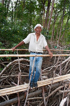 simsearch:862-06675949,k - South America, Brazil, Para, Amazon, Marajo island, a local man standing on a bamboo walkway in red mangrove forest near Soure Foto de stock - Con derechos protegidos, Código: 862-06675963