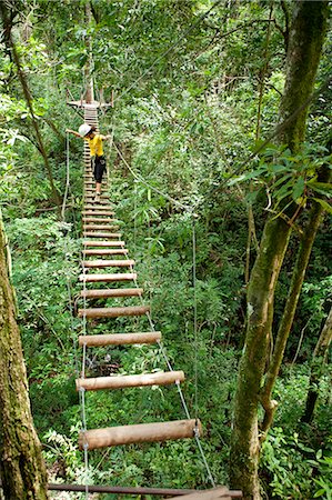 elevated walkways forest - South America, Brazil, Goias, Pirenopolis, treetop adventures in the Fazenda Vagafogo private reserve Stock Photo - Rights-Managed, Code: 862-06676021