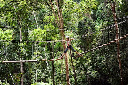 elevated walkways forest - South America, Brazil, Goias, Pirenopolis, treetop adventures in the Fazenda Vagafogo private reserve Stock Photo - Rights-Managed, Code: 862-06676022