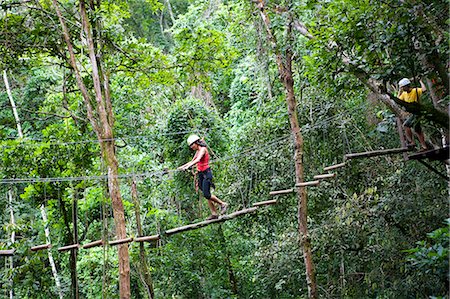 elevated walkways forest - South America, Brazil, Goias, Pirenopolis, treetop adventures in the Fazenda Vagafogo private reserve Stock Photo - Rights-Managed, Code: 862-06676023