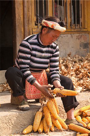 China, Yunnan, Luoping. A lady of the Miao ethnic minority group, wearing a traditional apron, husking corn on the steps of her house. Stock Photo - Rights-Managed, Code: 862-06676213