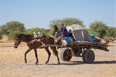 Chad, Kanem, Bahr el Ghazal, Sahel. Two young Kanembu women move house with a horse and cart. Foto de stock - Con derechos protegidos, Código: 862-06676371