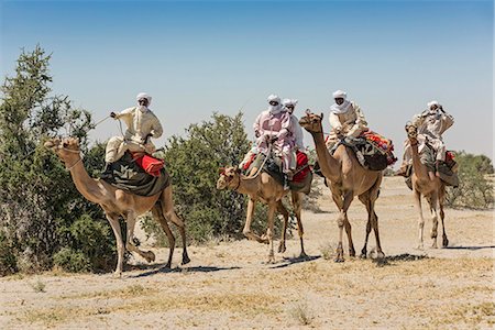 Chad, Kanem, Bahr el Ghazal, Sahel. A group of Kreda men ride their camels near the Bahr el Ghazal seasonal river. Fotografie stock - Rights-Managed, Codice: 862-06676382