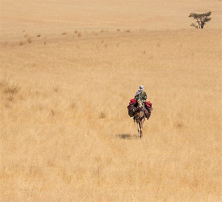 simsearch:862-08704975,k - Chad, Deli, Ennedi, Sahara. A lone Toubou Nomad rides his camel through arid plains near Deli Foto de stock - Direito Controlado, Número: 862-06676479