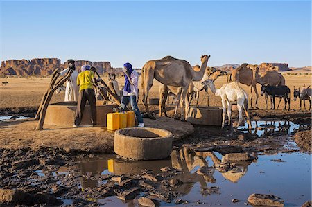 Chad, Kachabi, Ennedi, Sahara.  Drawing water from a deep well. Stock Photo - Rights-Managed, Code: 862-06676527