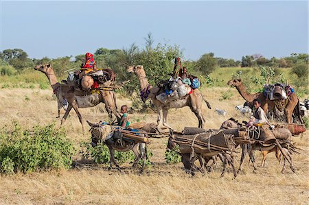 Chad, Arboutchatak, Guera, Sahel. Peul nomads on the move. Stock Photo - Rights-Managed, Code: 862-06676555