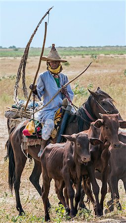 Chad, Arboutchatak, Guera, Sahel. A Peul nomad drives calves on horseback. His conical-shaped woven hat is typical of his tribe. Stock Photo - Rights-Managed, Code: 862-06676556