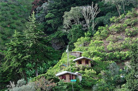 simsearch:862-06542651,k - Central America, Costa Rica, Houses on the hillside Foto de stock - Con derechos protegidos, Código: 862-06676562