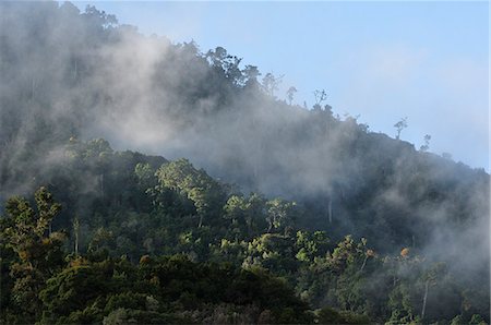 Central America, Costa Rica, Cloud Forest Stock Photo - Rights-Managed, Code: 862-06676563