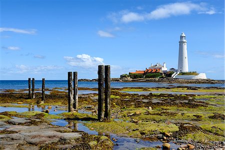 Europe, England, Tyne and Wear, St Marys Lighthouse Stock Photo - Rights-Managed, Code: 862-06676661