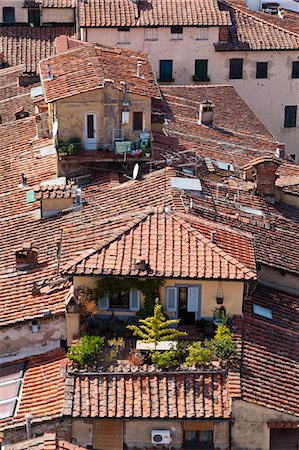 simsearch:862-05997928,k - Italy, Lucca. A private garden high up amidst the roof tops. Stock Photo - Rights-Managed, Code: 862-06676874