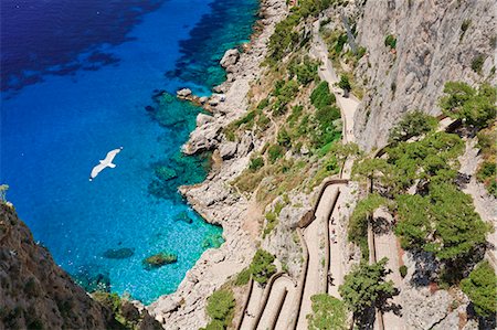 sea stack - Italy, Campania, Napoli district, Capri. Via Krupp. Stock Photo - Rights-Managed, Code: 862-06676913