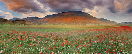 simsearch:6129-09057574,k - Italy, Umbria, Perugia district, Monti Sibillini NP, Norcia, Castelluccio. Photographie de stock - Rights-Managed, Code: 862-06677154