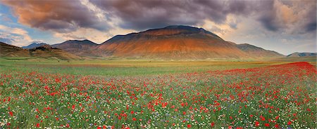 Italy, Umbria, Perugia district, Monti Sibillini NP, Norcia, Castelluccio. Foto de stock - Con derechos protegidos, Código: 862-06677154