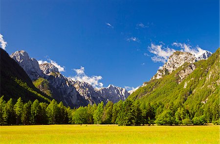 simsearch:862-06826182,k - Slovenia, Gorenjska Region, Triglav National Park, Mojstrana. A view of Radovna Valley. Foto de stock - Con derechos protegidos, Código: 862-06677450