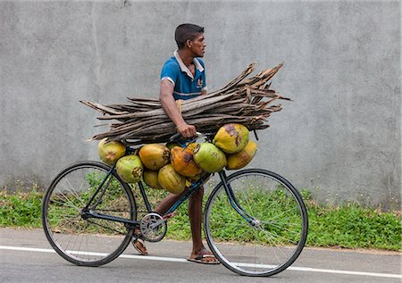 sri lankan ethnicity (male) - A man takes coconuts and kindling to market on his bicycle, Sri Lanka Stock Photo - Rights-Managed, Code: 862-06677472