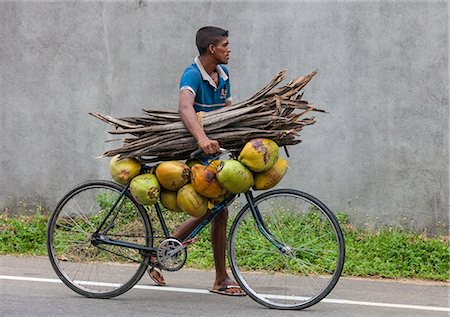 southern province - A man takes coconuts and kindling to market on his bicycle, Sri Lanka Photographie de stock - Rights-Managed, Code: 862-06677472