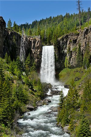 Tumalo Falls of Tumalo Creek, Deschutes County, near city of Bend, Central Oregon, USA Photographie de stock - Rights-Managed, Code: 862-06677566