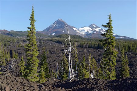 simsearch:862-06677572,k - Three Sisters volcanoes seen from McKenzie Highway, near McKenzie Pass, Deschutes National Forest, Cascade Mountains, Central Oregon, Deschutes County,Oregon, USA Stockbilder - Lizenzpflichtiges, Bildnummer: 862-06677569