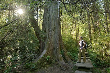 Woman hiker standing in Forest at Cape Alava, Olympic National Park, Clallam County, Washington, USA Photographie de stock - Rights-Managed, Code: 862-06677627